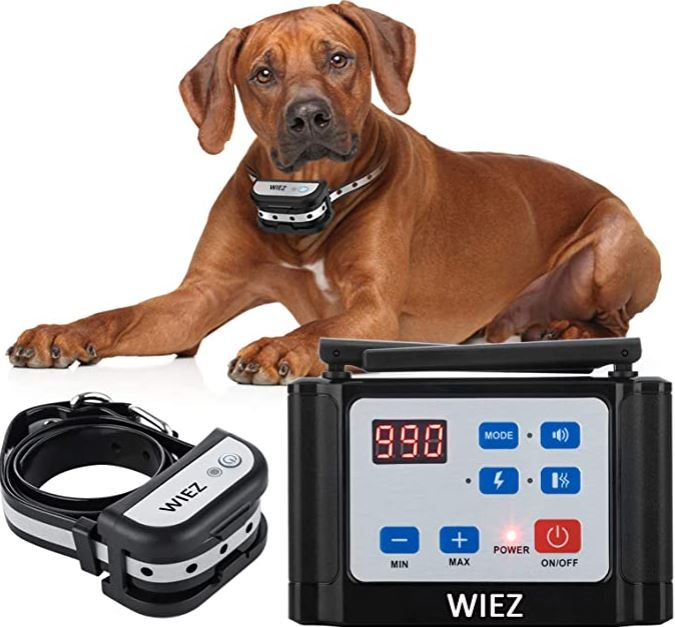 7 Best Wireless Dog Fence & Reviews [2020 Updated] Pet Life World